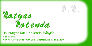 matyas molenda business card