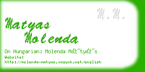 matyas molenda business card